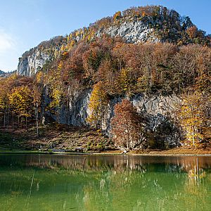Idyllische Herbststimmung am Luegsteinsee