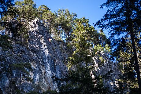 Der Klettergarten Putzen Der Klettergarten Putzen