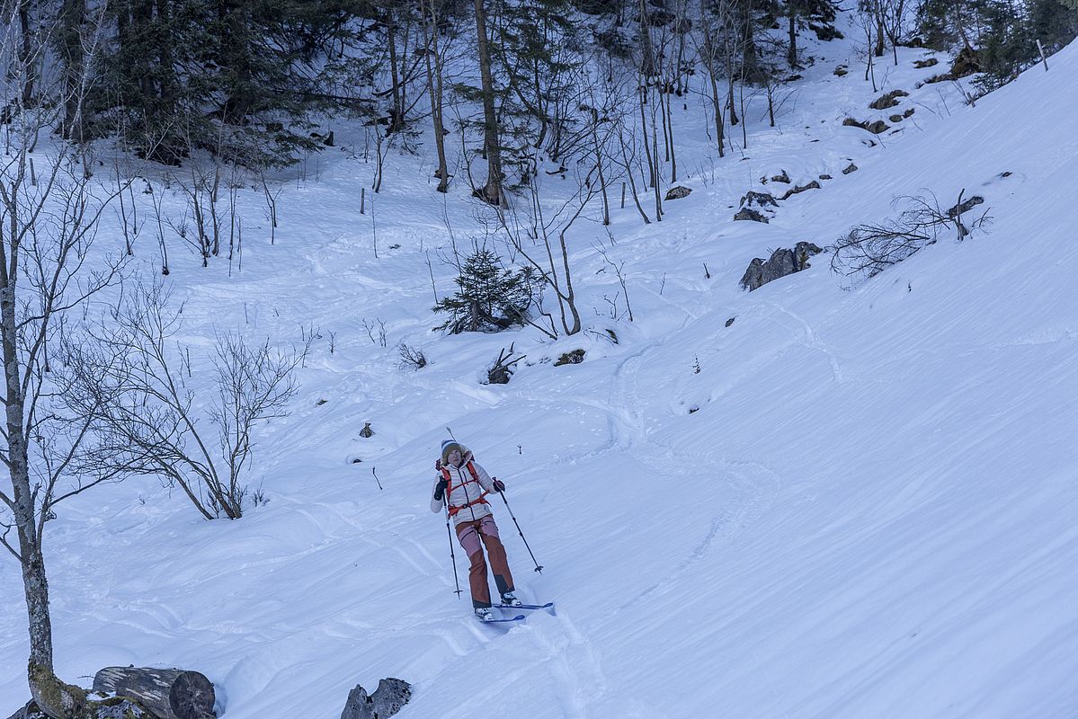 Damit wars dann aber bald vorbei und hinab zur Forststraße wars eher ein Gestopsel