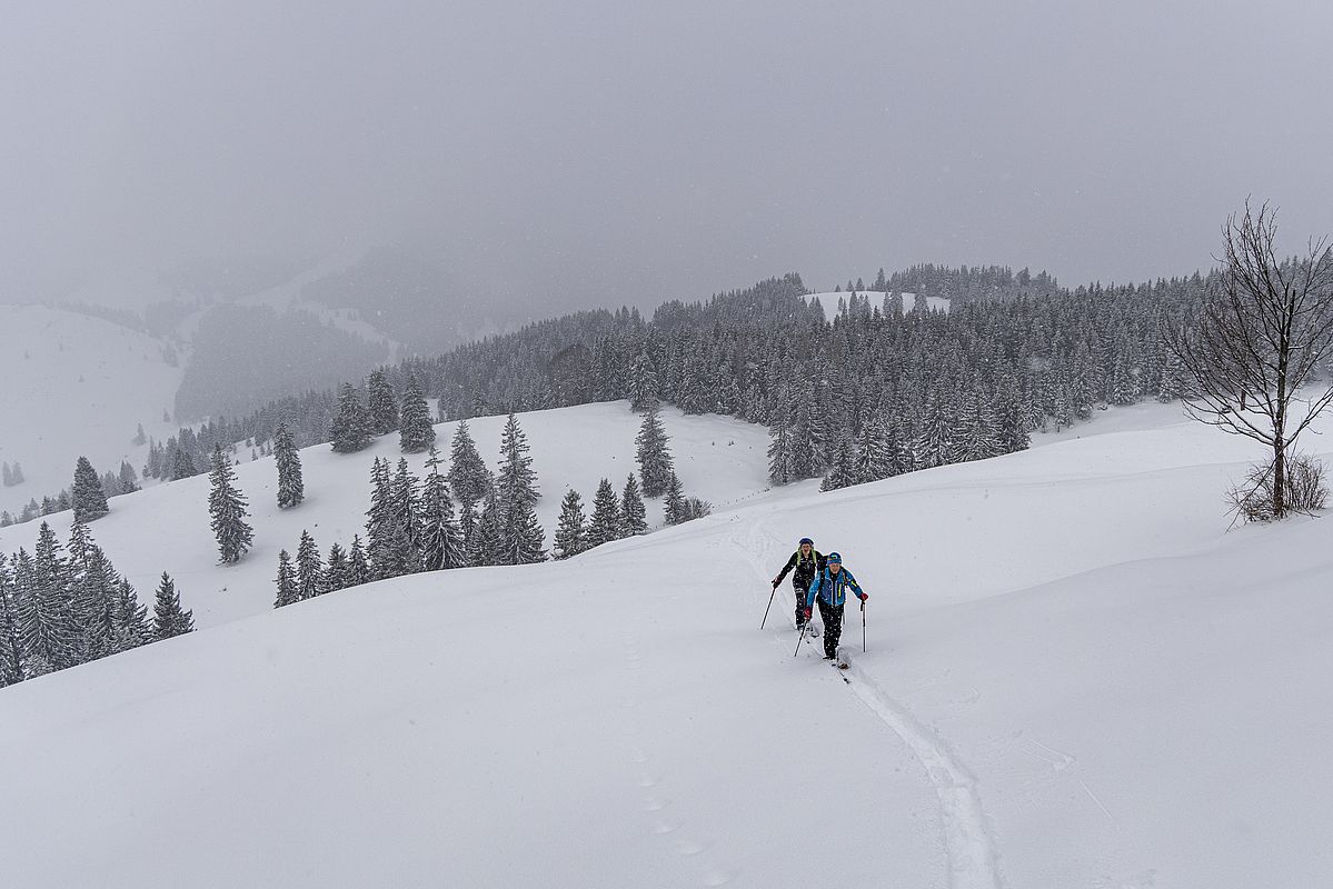 Spuranlage zur den Lacheralmen