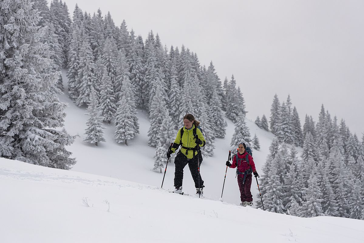Die letzten Meter zum Gipfel