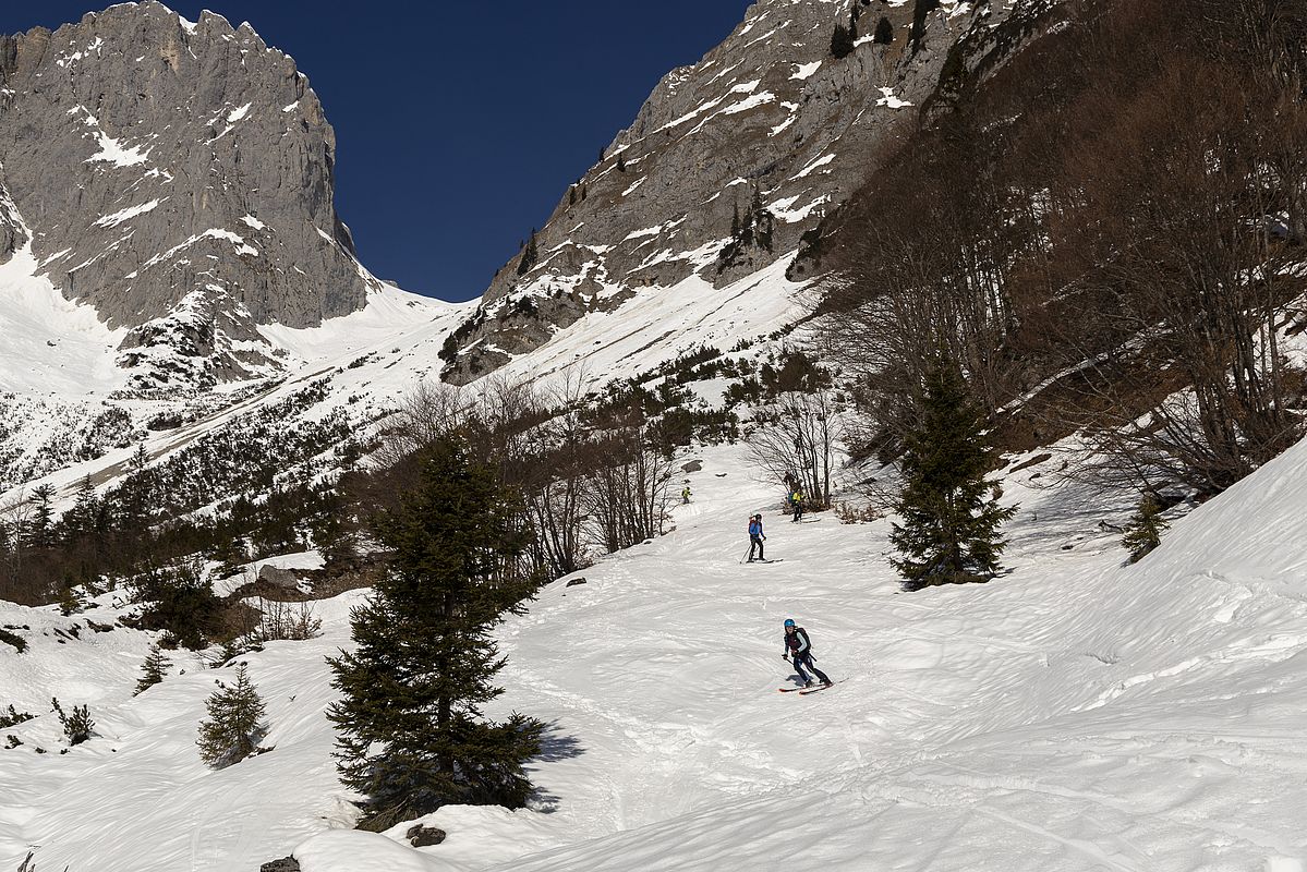 Unterhalb der Latschenzone und der letzten Lawinenkegel wurden die Bedingungen dann wieder besser.
