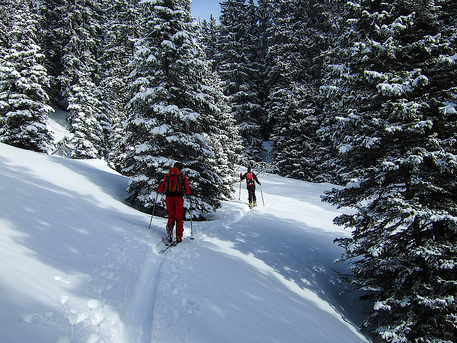 Wintermärchen im Aufstieg zum Pfuitjöchl.