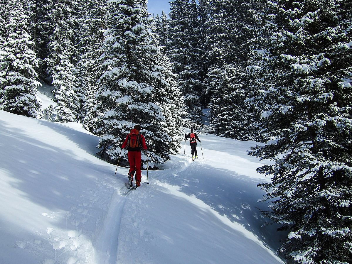 Wintermärchen im Aufstieg zum Pfuitjöchl.