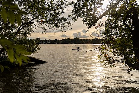 Abendlicht am Ufer des Zeuthnersees bzw. der Dahme