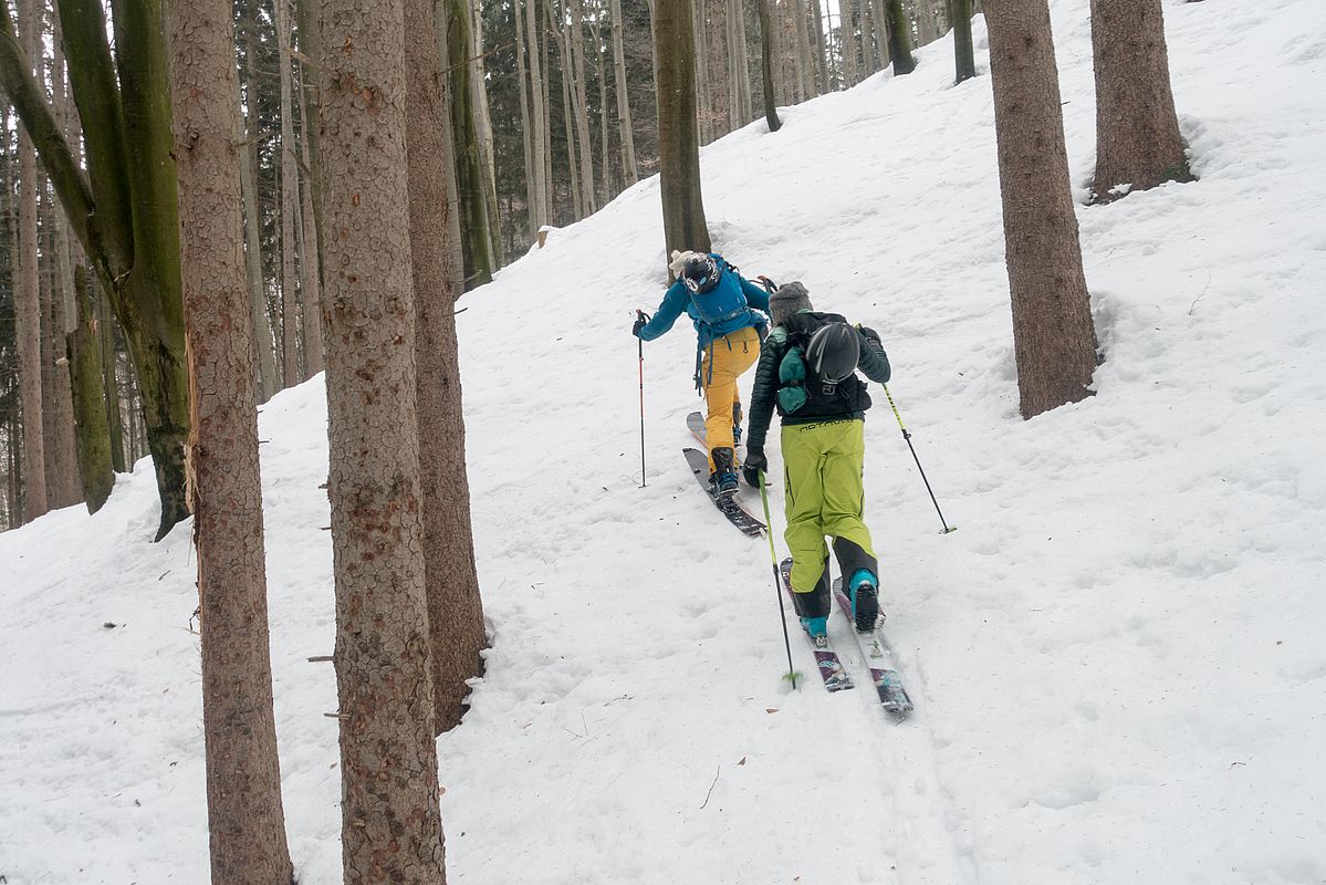 Am Abkürzer der Kehre durch den Wald