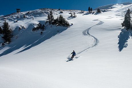 Unverspurte Pulverhänge am Brennkogel Unverspurte Pulverhänge am Brennkogel