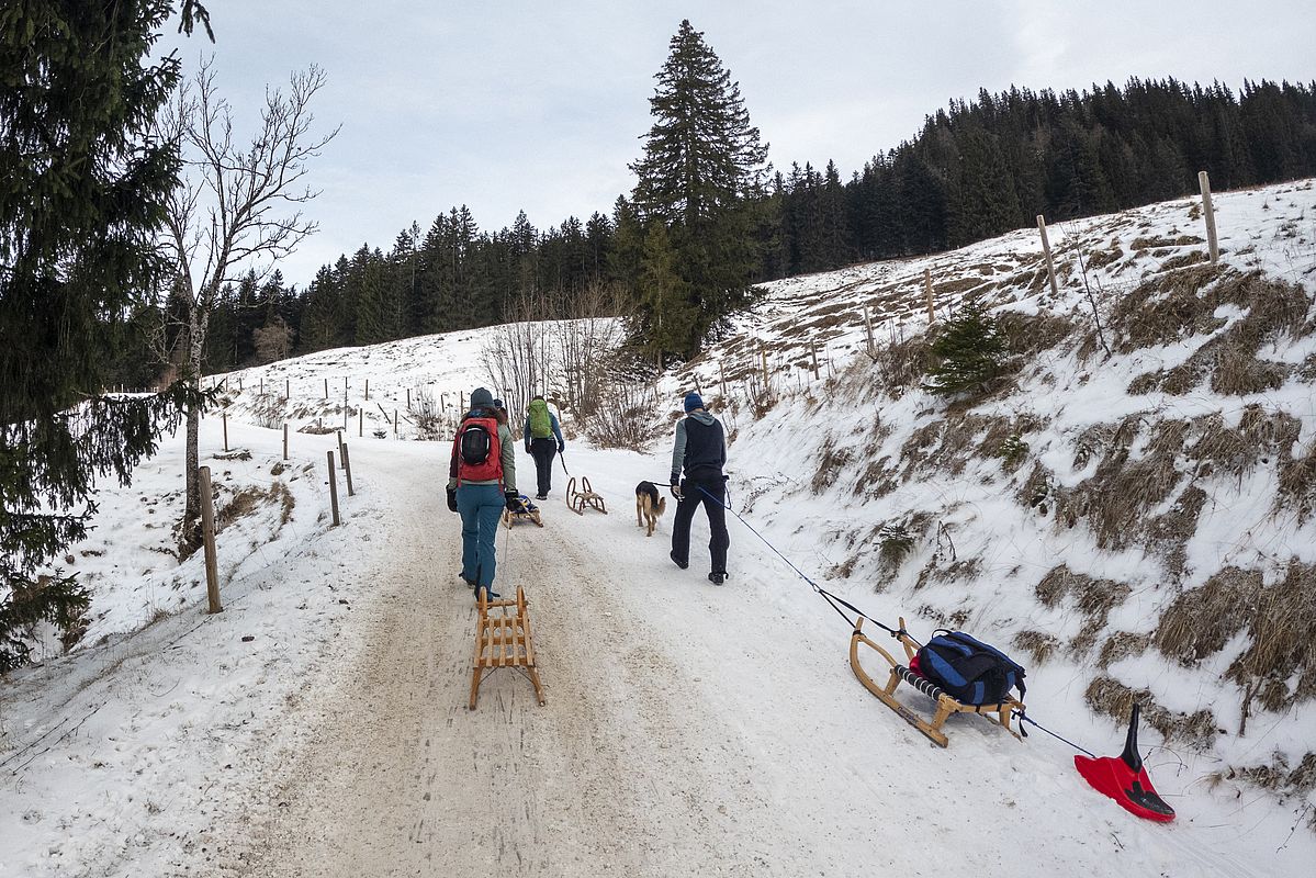 Rodelbahn Priener Hütte