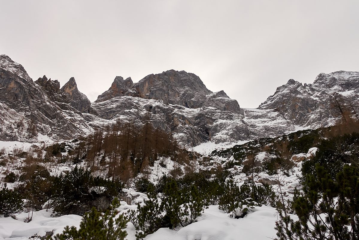 Viele Stauden und Latschen in der Rontalabfahrt