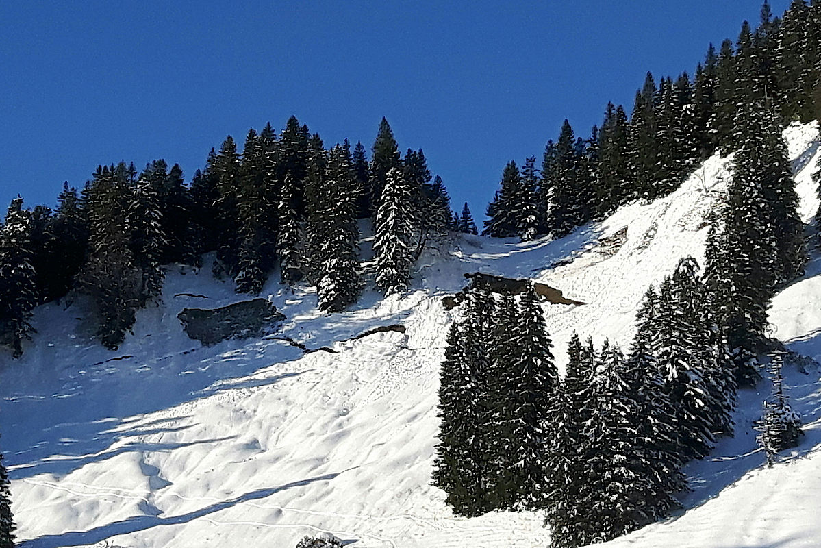 Frische Gleitschneeabgänge und Schneemäuler in der Ostflanke der Bodenschneid