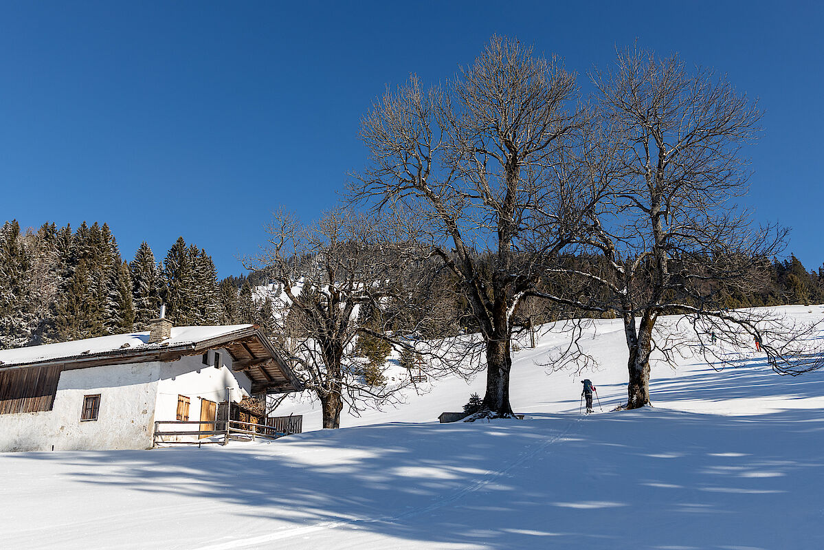 An der Steineralm