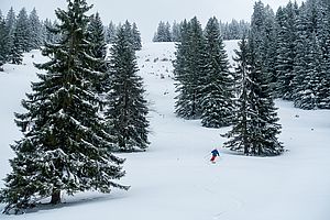 Skitour zum Lahnenkopf, Schliersee