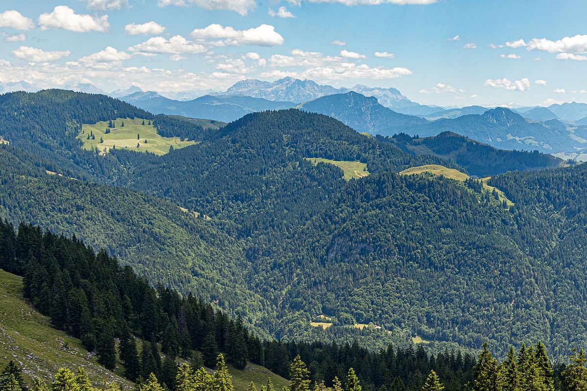 Blick über den Wandberg zu den Steinbergen