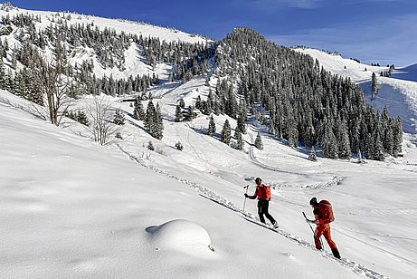 An den Schönfeldalmen