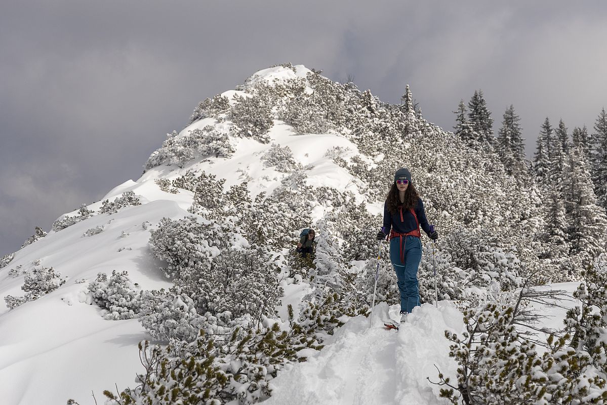 Das erste Stück am latschenbestandenen Grat geht jetzt viel besser als letzte Woche