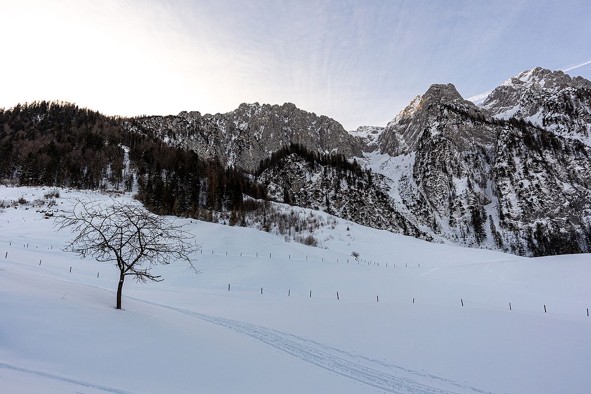 Blick vom Aschinger Rieder ins Kar