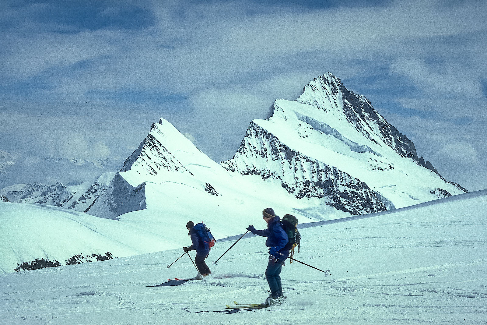 Abfahrt von den Fiescherhörnern zur Finsteraarhornhütte Abfahrt von den Fiescherhörnern zur Finsteraarhornhütte