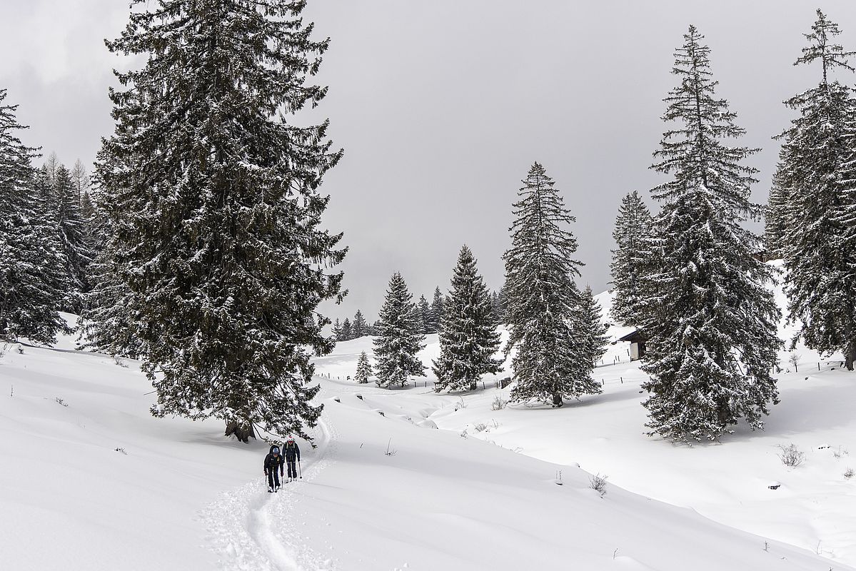 Gegen Mittag kam dann zeitweise die Sonne zum Vorschein