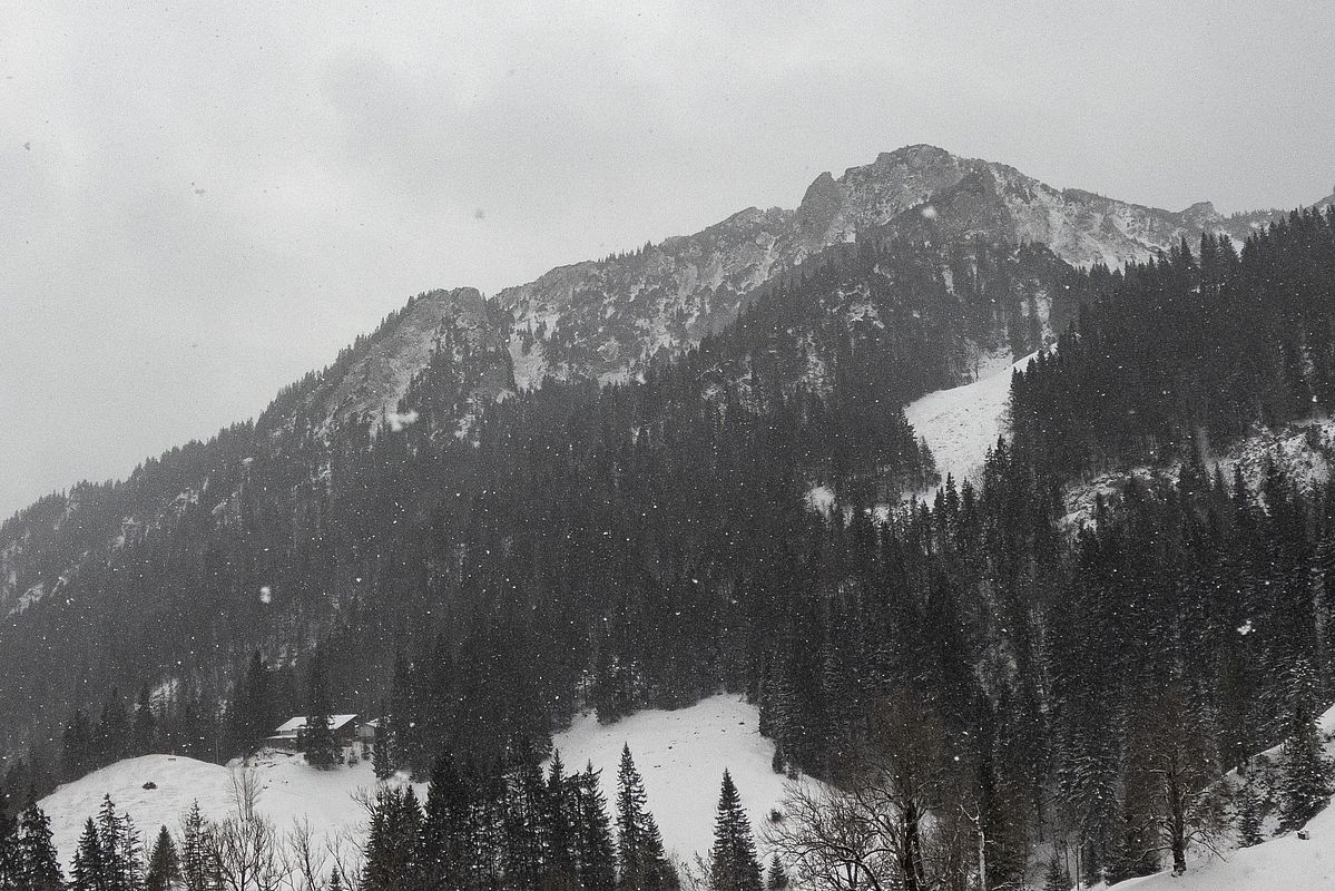 Blick zur Mitteralm, rechts der Bildmitte sieht man den Gleishang der Gschwandt-Abfahrt