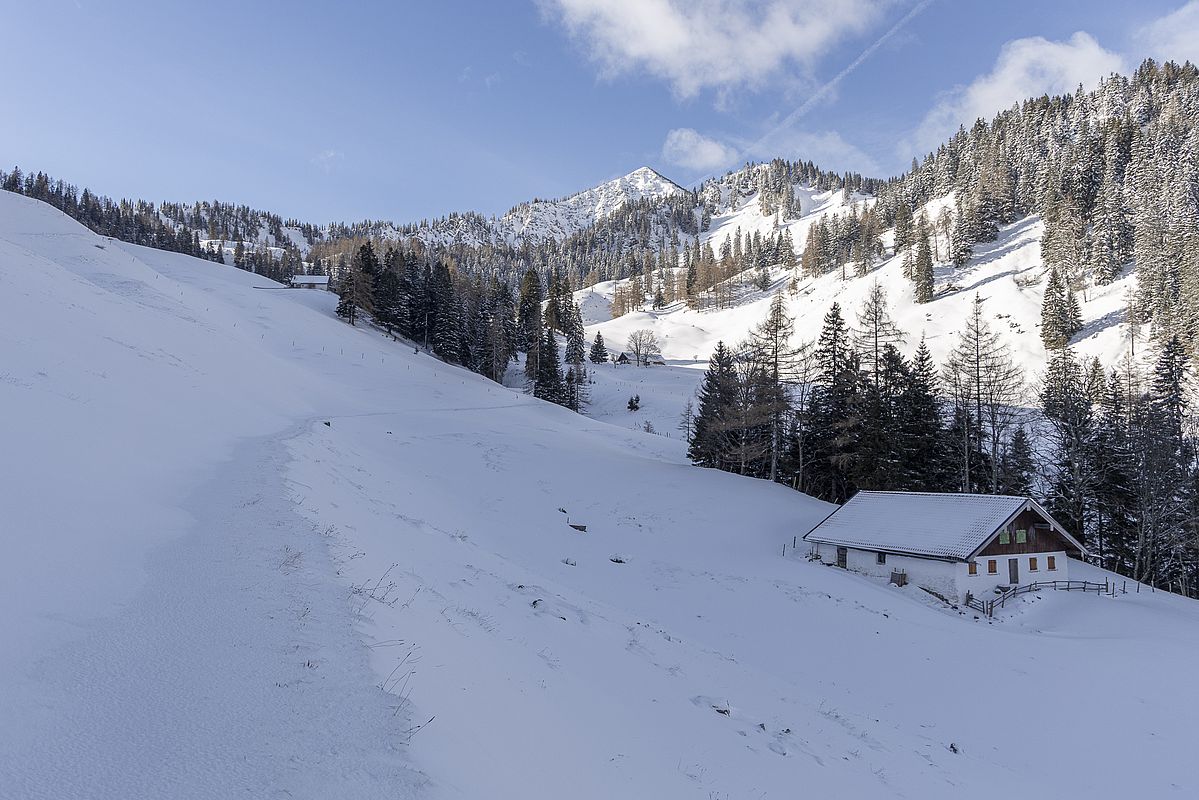 Weniger schön sahen die Hänge rund um die Baumoosalm aus, wo der Wind gewütet hatte