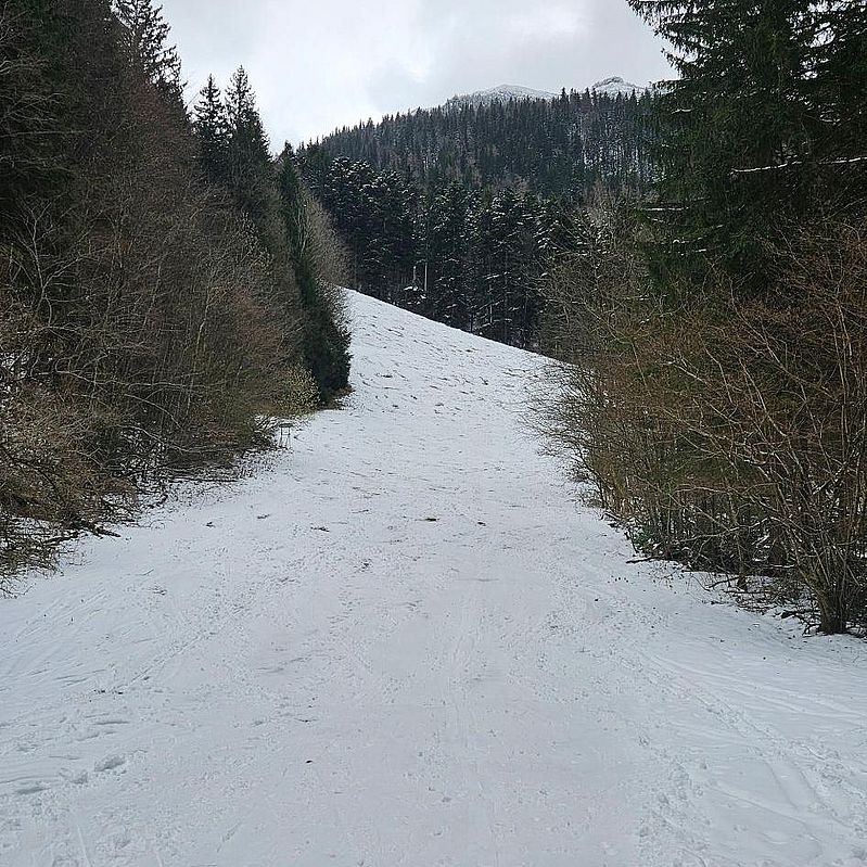 Nicht viel, aber ausreichend Schnee ganz unten