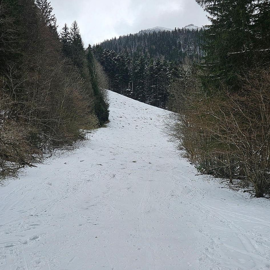 Nicht viel, aber ausreichend Schnee ganz unten