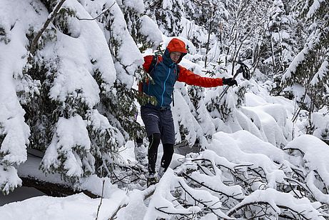 Wegsuche im verschneiten Latschenfeld