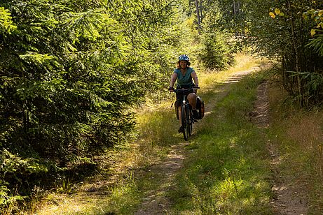 Der Singletrail über den uns die Komoot-App schickt