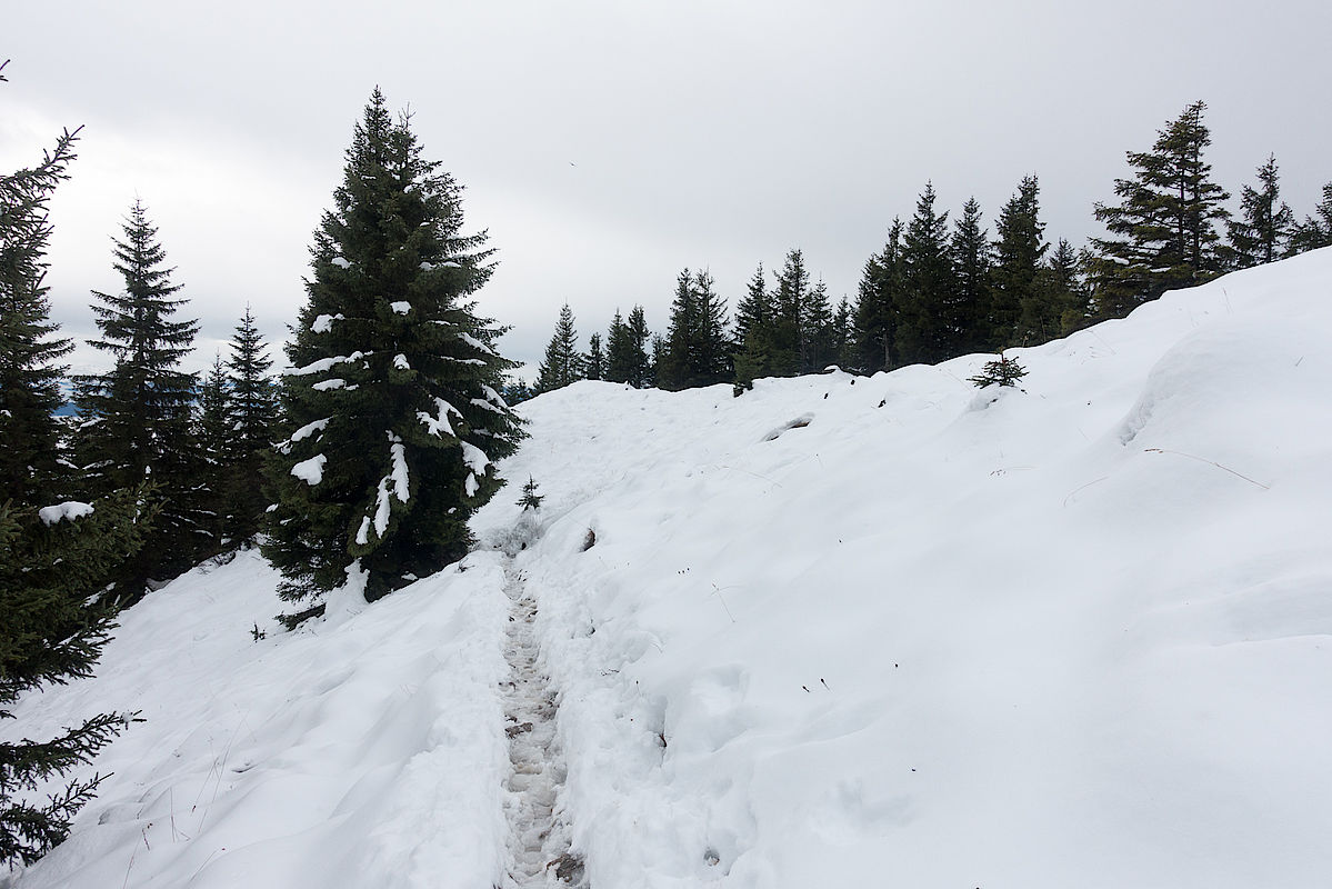 Der Weg am Gipfelkamm - tief ausgetrampelte Spur.