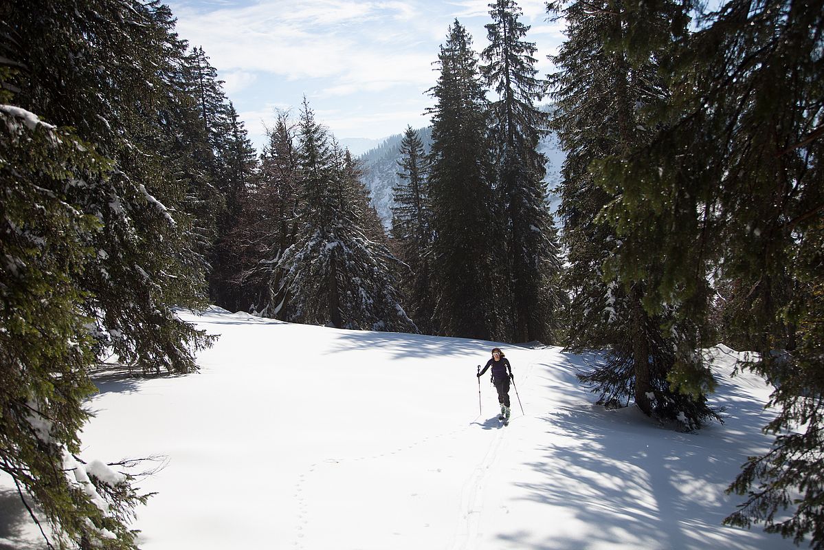 Bodenschneid im Aufstieg vom Spitzingsee