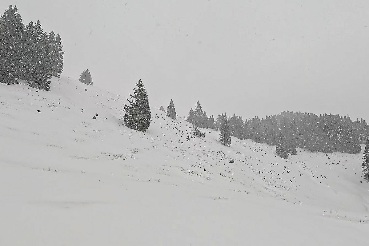 Der Gipfelhang sieht noch wenig einladend aus - zum Glück gibts nur wenig Steine.