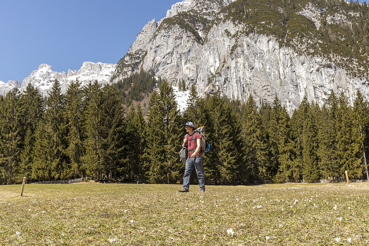 Am Zustiegsweg zur Chinamauer blühen die Krokusse