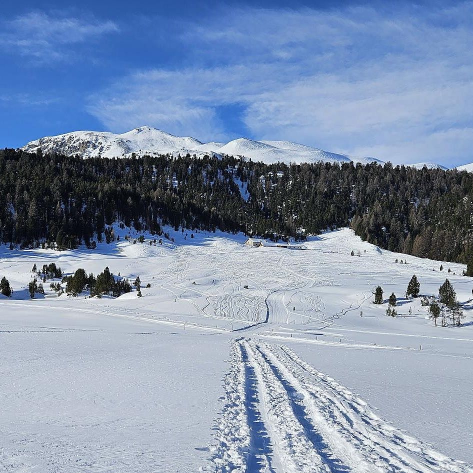 Munt Buffalora