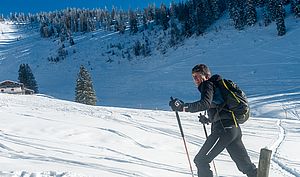 Skitourenrucksack Salewa Winter Train 26