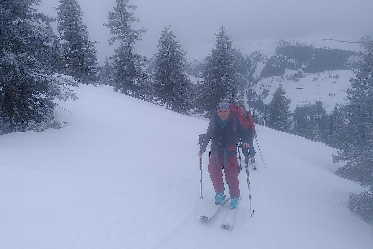 Skitour Feldalphorn, Kitzbüheler Alpen