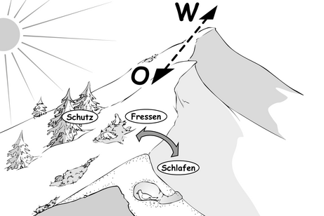 Lebensraum der Schneehühner Lebensraum der Schneehühner
