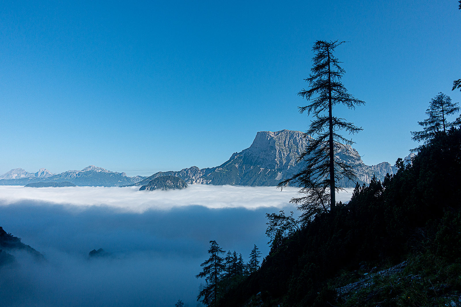 Super Morgenstimmung am Aufstieg zur Rosskuppenkante