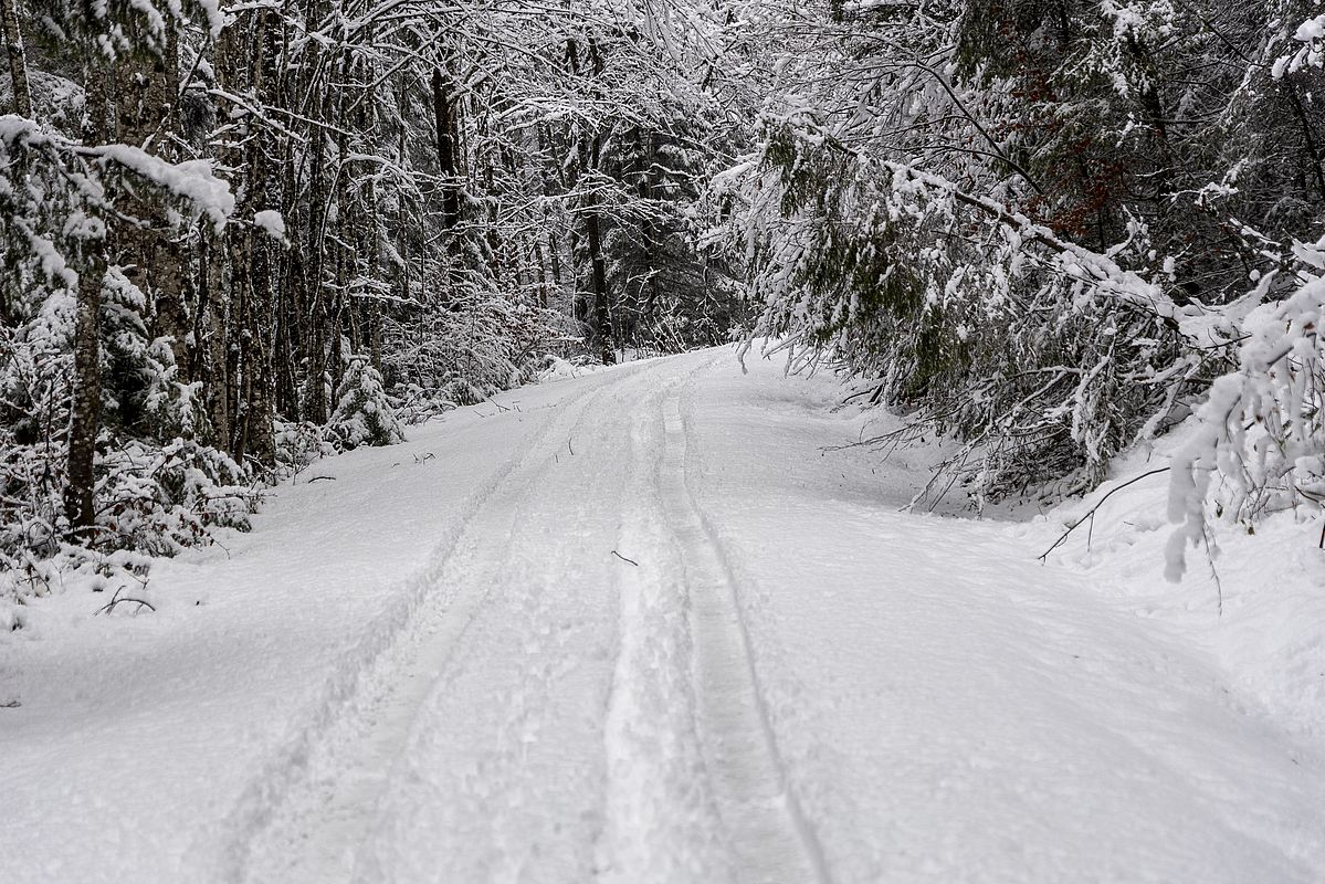 Ausreichend Schnee ganz unten in Sachrang auf der Forststraße