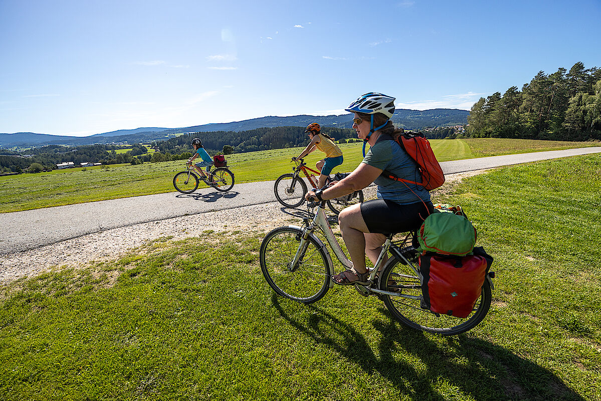 Im oberen Teil des Regentalradwegs zwischen Viechtach und Regen