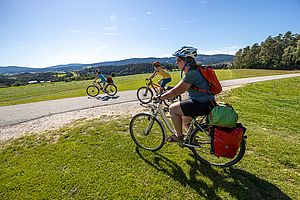 Im oberen Teil des Regentalradwegs zwischen Viechtach und Regen