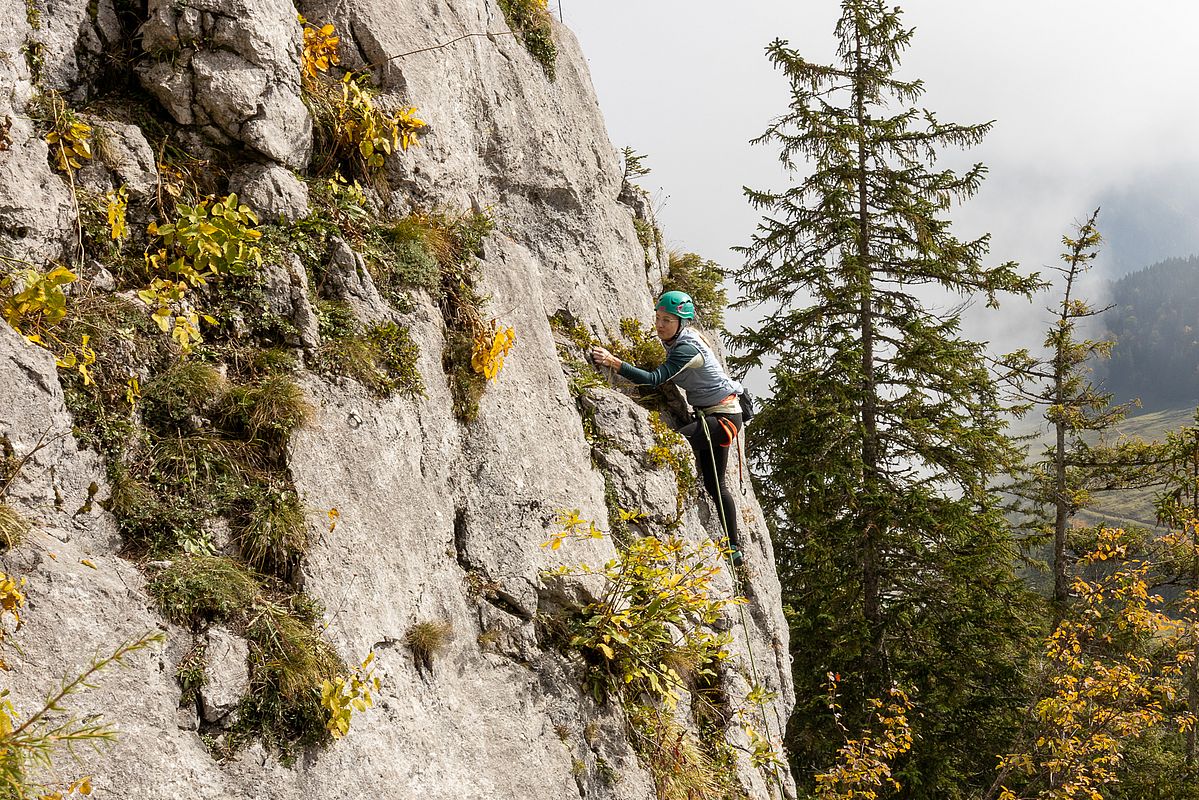 Gemüseslalom im mittleren Teil von Bayrisch Velebit