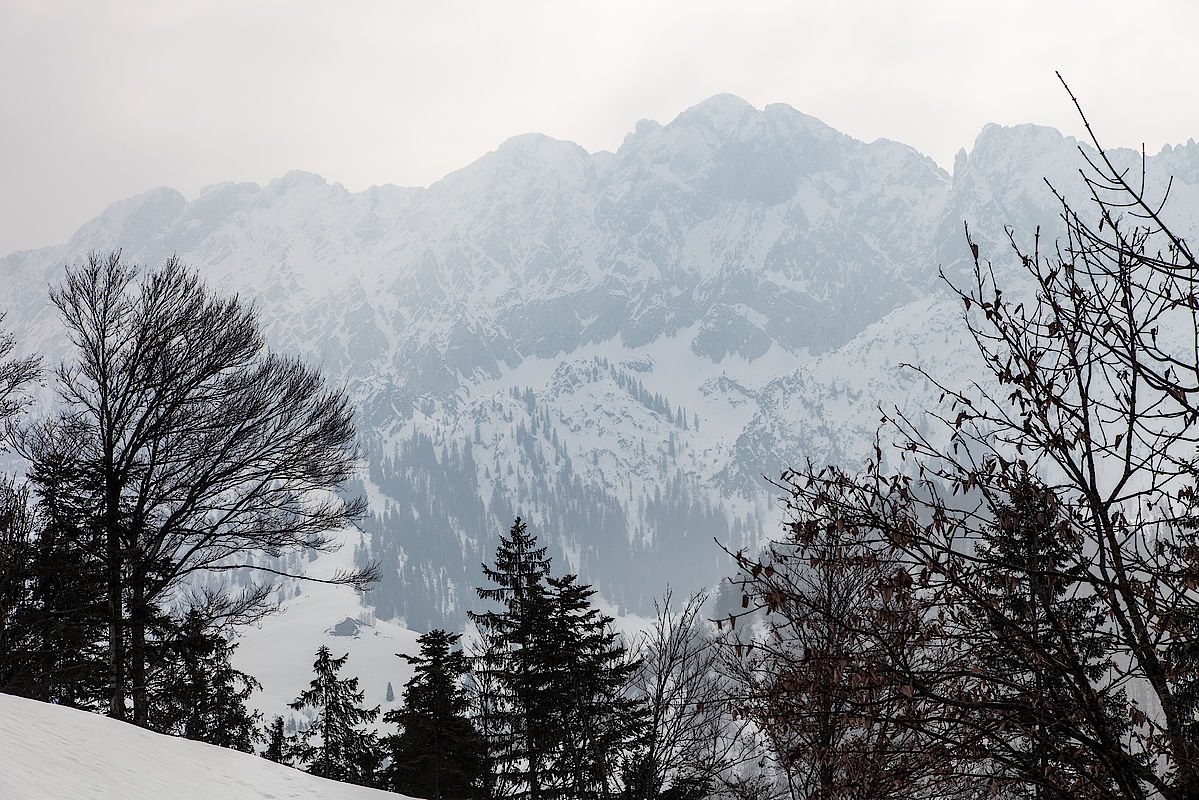 Winterliche Scheffauer-Nordwand