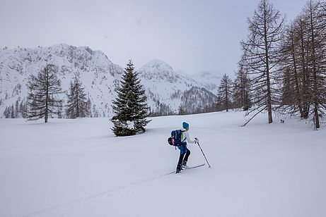 Wintermärchen im Aufstieg zum Leckriedel - hinten die Bärenstaffl Wintermärchen im Aufstieg zum Leckriedel - hinten die Bärenstaffl