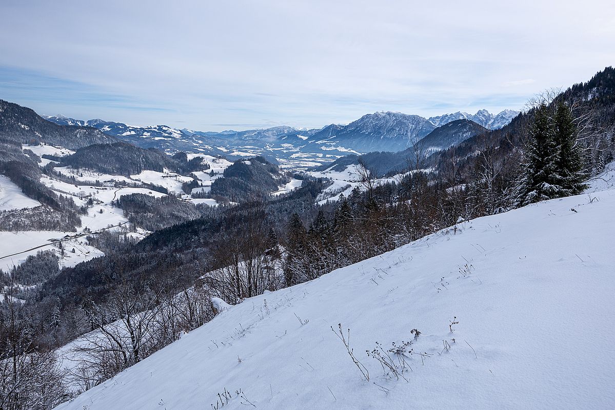 Schoißeralm-Wiese mit etwa 30, oben dann 40 cm Pulverschneeauflage