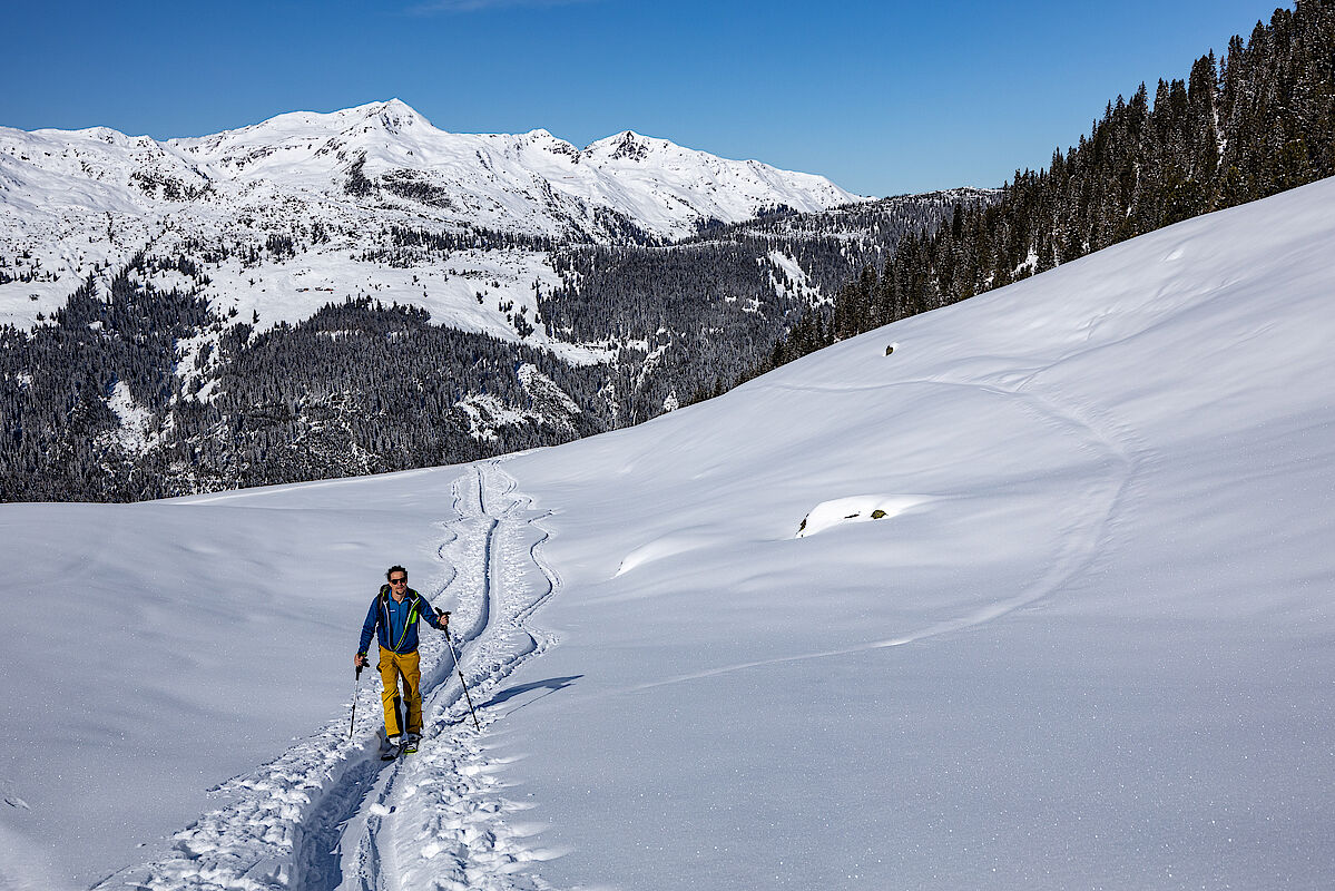 Im Bereich der Hochfeldenalm