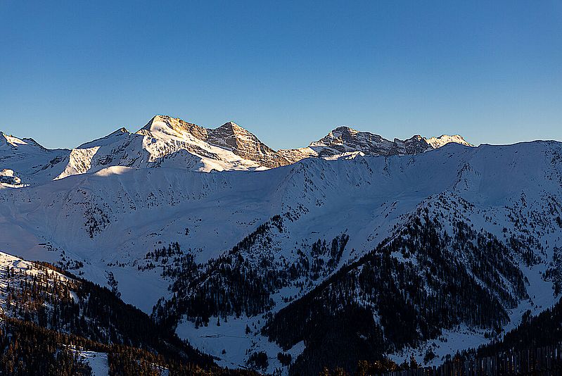 Abendlicht über dem Olperer