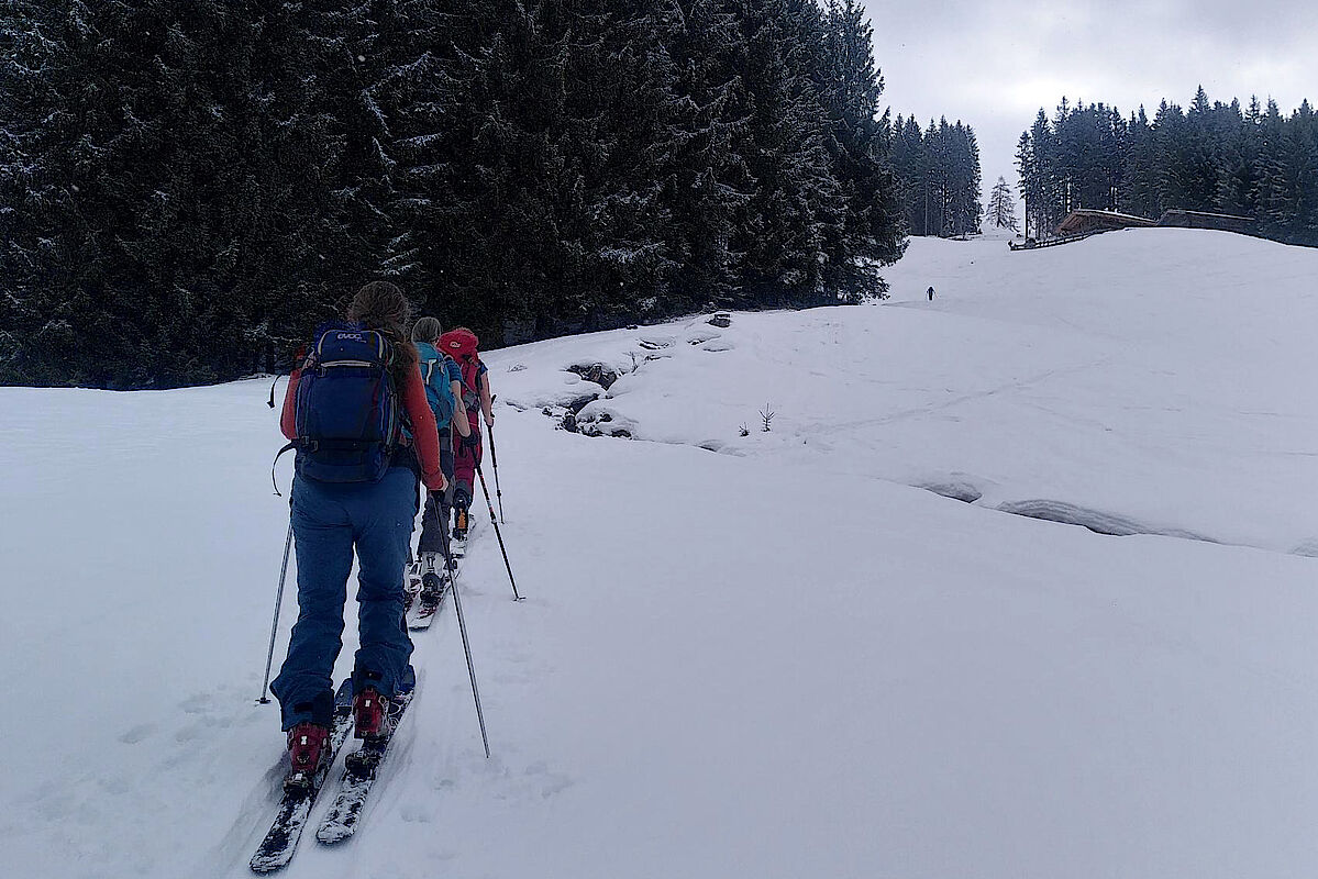 Skitour Feldalphorn, Kitzbüheler Alpen