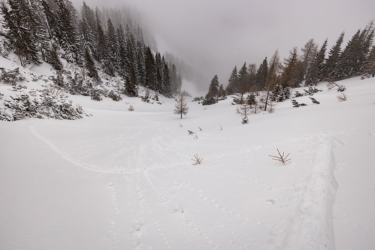 Weiter oben wurde der Schnee dann wieder kompakter mit geringeren Einsinktiefen, hier kurz vor dem Sattel nach der südseitigen Querung