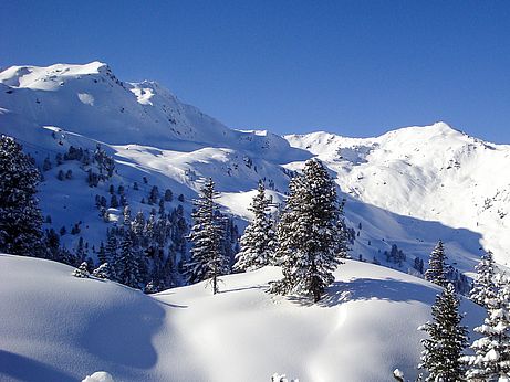 Hüttenzustieg mit Blick ins Manzenkar und zur Stanglöhe (rechts). Hüttenzustieg mit Blick ins Manzenkar und zur Stanglöhe (rechts).