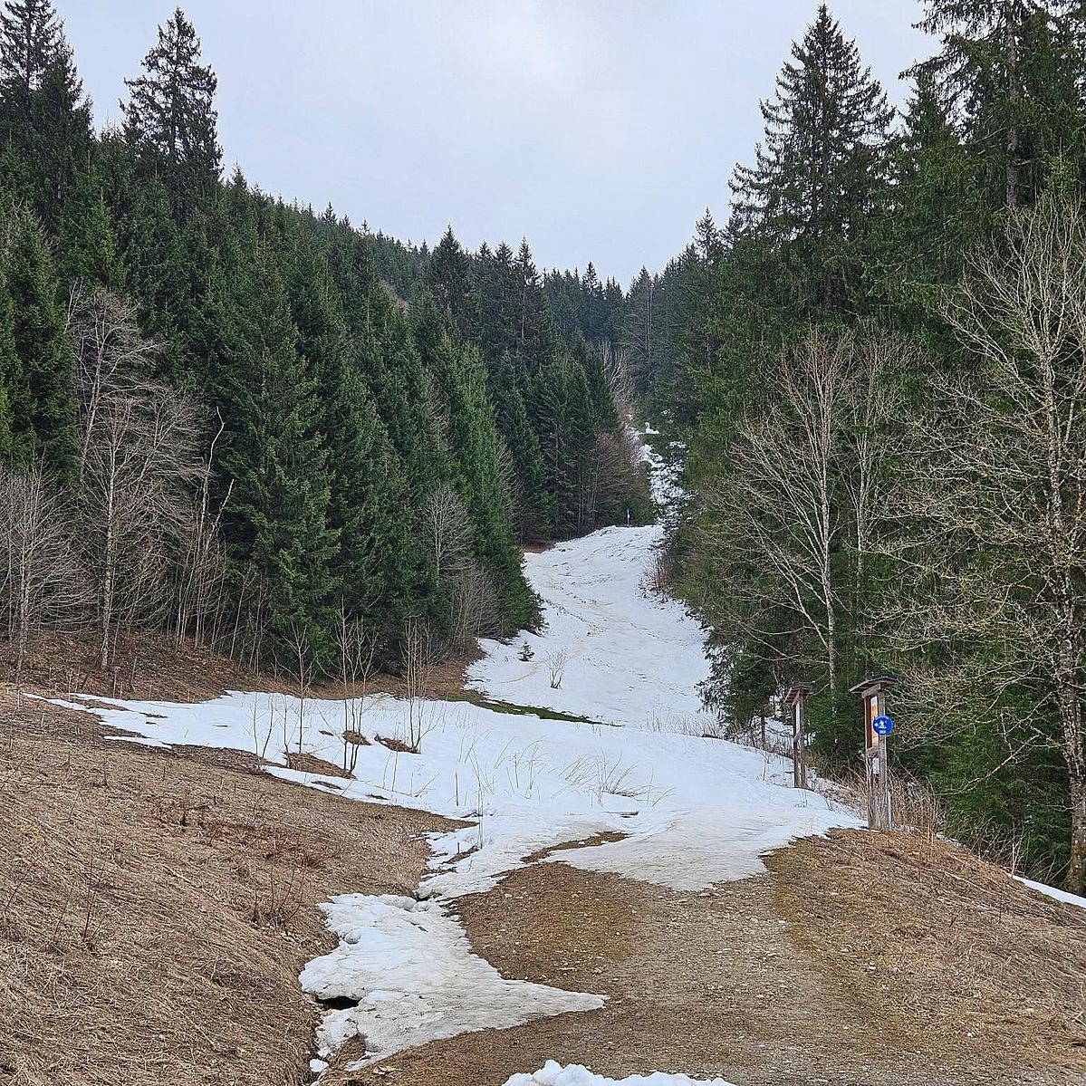 Blick vom Parkplatz in den Unteren Lochgraben